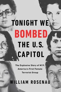 Tonight We Bombed the U.S. Capitol_cover