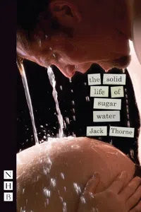 The Solid Life of Sugar Water_cover