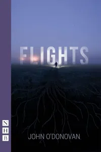 Flights_cover