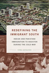 Redefining the Immigrant South_cover