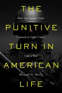 The Punitive Turn in American Life_cover