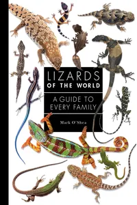 Lizards of the World_cover