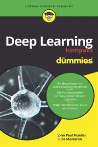 Deep Learning kompakt für Dummies_cover