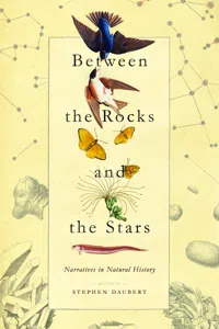 Between the Rocks and the Stars_cover