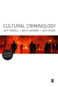 Cultural Criminology_cover