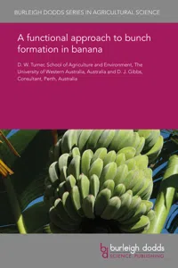 A functional approach to bunch formation in banana_cover