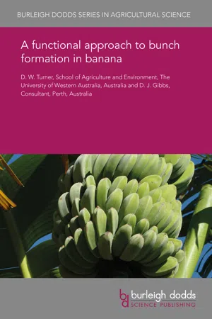 A functional approach to bunch formation in banana