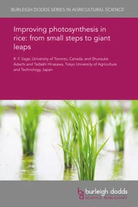 Improving photosynthesis in rice: from small steps to giant leaps_cover