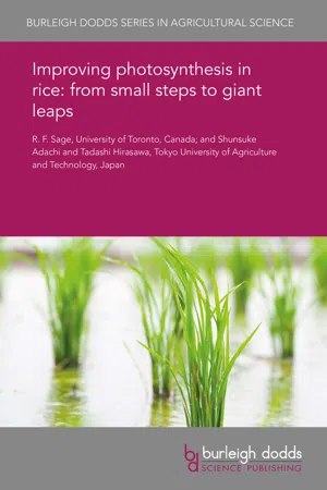 Improving photosynthesis in rice: from small steps to giant leaps