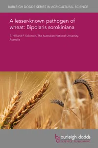 A lesser-known pathogen of wheat: Bipolaris sorokiniana_cover