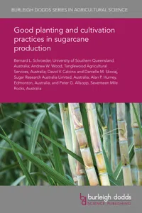 Good planting and cultivation practices in sugarcane production_cover