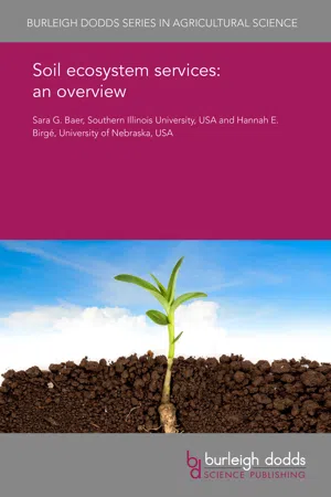 Soil ecosystem services: an overview