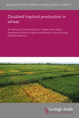 Doubled haploid production in wheat