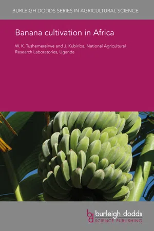 Banana cultivation in Africa