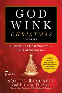 Godwink Christmas Stories_cover