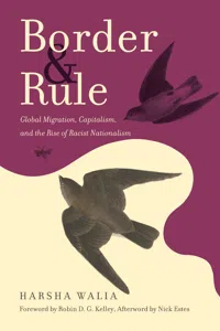 Border and Rule_cover