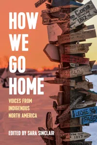 How We Go Home_cover