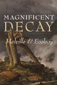 Magnificent Decay_cover