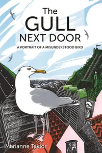 The Gull Next Door_cover