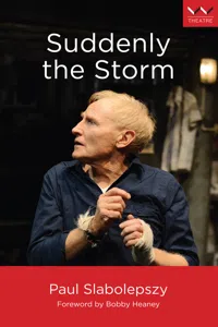 Suddenly the Storm_cover