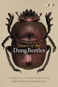 Dance of the Dung Beetles_cover