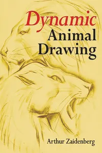 Dynamic Animal Drawing_cover