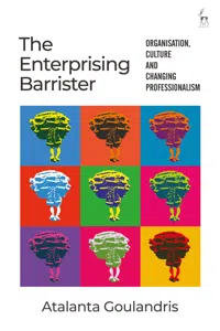 The Enterprising Barrister_cover