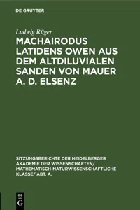 Machairodus latidens Owen aus dem altdiluvialen Sanden von Mauer a. d. Elsenz_cover