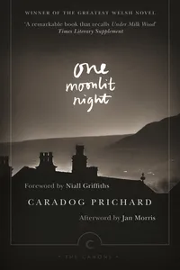 One Moonlit Night_cover