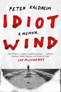 Idiot Wind_cover