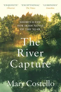 The River Capture_cover