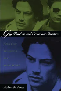 Gay Fandom and Crossover Stardom_cover