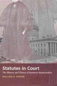 Statutes in Court_cover