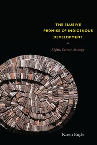 The Elusive Promise of Indigenous Development_cover