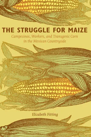 The Struggle for Maize