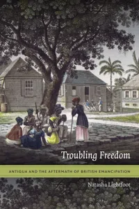 Troubling Freedom_cover