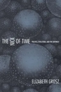 The Nick of Time_cover