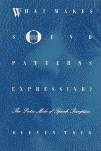 What Makes Sound Patterns Expressive?_cover