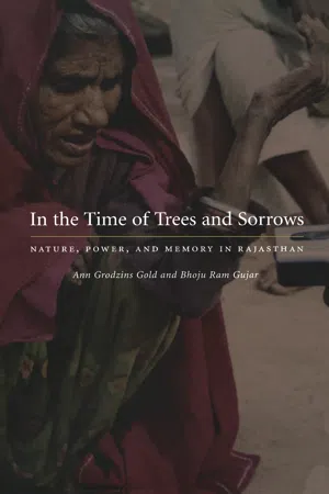 In the Time of Trees and Sorrows