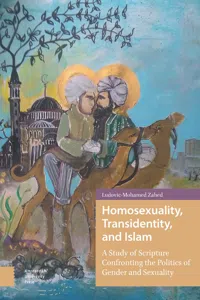 Homosexuality, Transidentity, and Islam_cover
