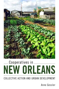 Cooperatives in New Orleans_cover