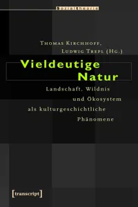 Sozialtheorie_cover