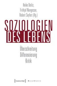 Sozialtheorie_cover