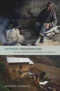 Intimate Indigeneities_cover