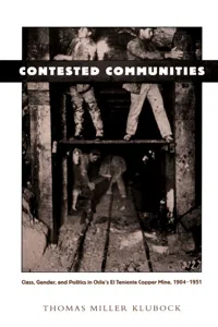 Comparative and international working-class history_cover