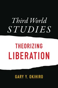 Third World Studies_cover
