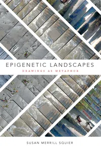 Epigenetic Landscapes_cover