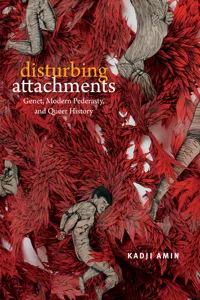 Disturbing Attachments_cover