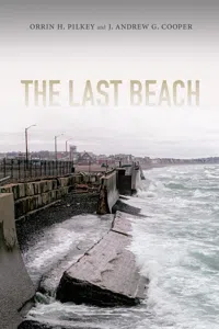 The Last Beach_cover