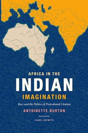 Africa in the Indian Imagination